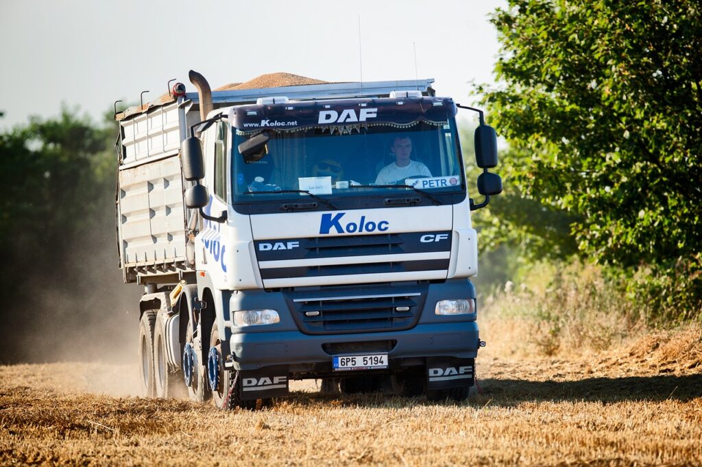 truck, field, grain, nature, harvest, stubble, white, trees, driver